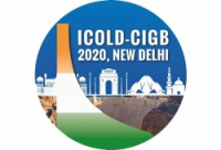 Отчет о проделанной в рамках международной комиссии по большим плотинам (ICOLD) работе за 2020 год